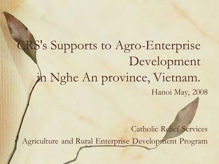 CRS's Supports to Agro-Enterprise Development in Nghe An province, Vietnam. Hanoi May, 2008 Catholic Relief Services Agriculture and Rural Enterprise Development.