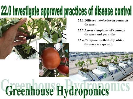 22.1 Differentiate between common diseases. 22.2 Assess symptoms of common diseases and parasites 22.4 Compare methods by which diseases are spread.