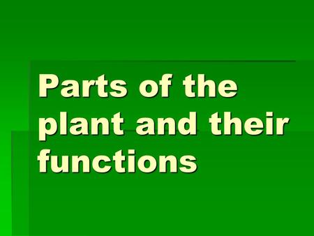 Parts of the plant and their functions