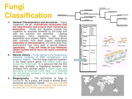 Fungi Classification General Characteristics and structures – These organisms are all multicellular eukaryotes that are heterotrophs and acquire their.