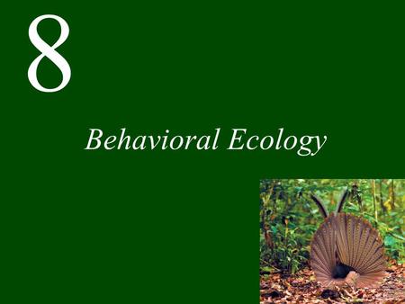 Behavioral Ecology.