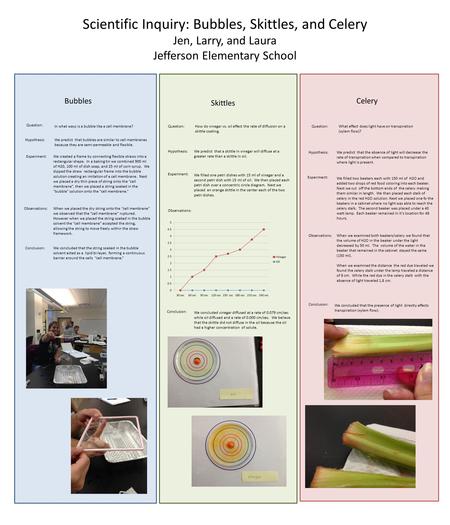 Scientific Inquiry: Bubbles, Skittles, and Celery Jen, Larry, and Laura Jefferson Elementary School Bubbles Question: Celery Skittles In what ways is a.