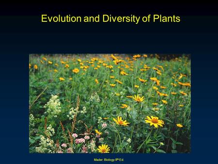 Evolution and Diversity of Plants