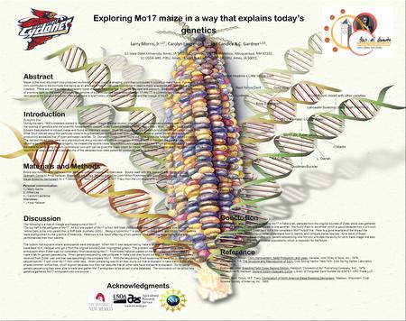 Exploring Mo17 maize in a way that explains today’s genetics Larry Morris, Jr. 1,2* ; Carolyn Lawrence 1,3,4 ; and Candice A.C. Gardner 1,3,5. 1.) Iowa.