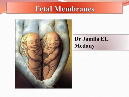 Dr Jamila EL Medany. By the end of the lecture the student should be able to: List the components of the fetal membranes. Describe the stages of development.