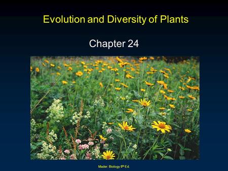 Evolution and Diversity of Plants