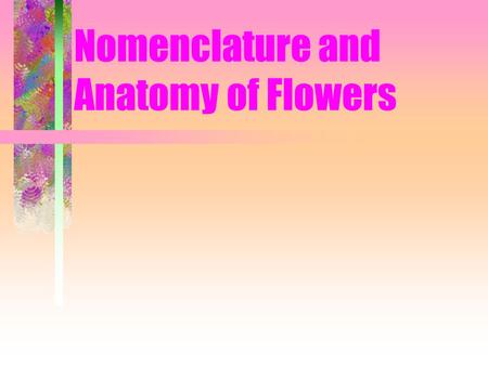 Nomenclature and Anatomy of Flowers