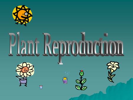 Plant Reproduction.