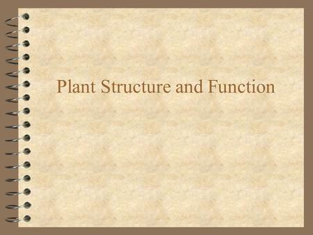 Plant Structure and Function