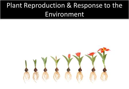 Plant Reproduction & Response to the Environment