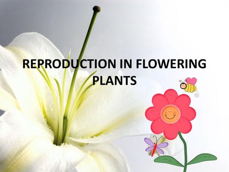 REPRODUCTION IN FLOWERING PLANTS