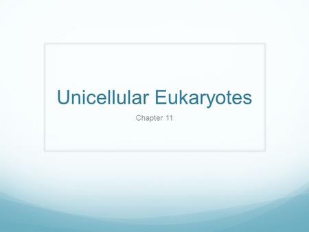 Unicellular Eukaryotes