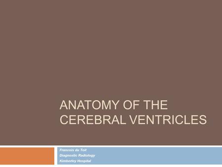 Anatomy of the Cerebral Ventricles