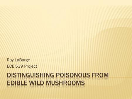 Ray LaBarge ECE 539 Project.  Wild Mushrooms are available throughout North America  No “Leaves of 3, Leave it Be” rule to classify by  Consequences.