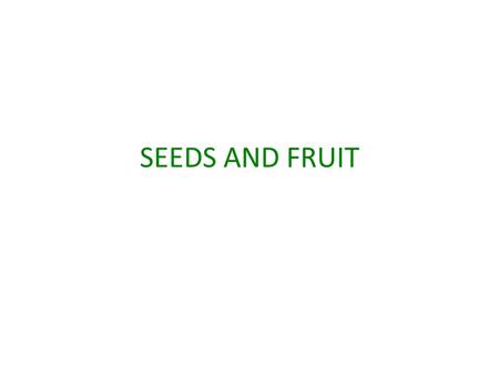 SEEDS AND FRUIT. Fruit and Seed Dispersal A. Need for Dispersal B. Dispersal by Wind 1.Curved wings maple samara 2.Inflated sacs hop hornbeam 3.Plumes.