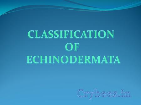 Phylum Echinodermata Sub-phylum : 1. Crinoza Classes: 1. Crinoidea [sea lilies, sea feathers] 2. Asterozoa 1.Asteroidea [Star fishes] 2.Ophiuroidea [Brittle.