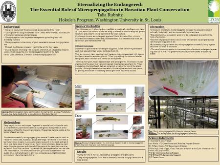 Eternalizing the Endangered: The Essential Role of Micropropagation in Hawaiian Plant Conservation Talia Rubnitz Hokule ʻ a Program, Washington University.