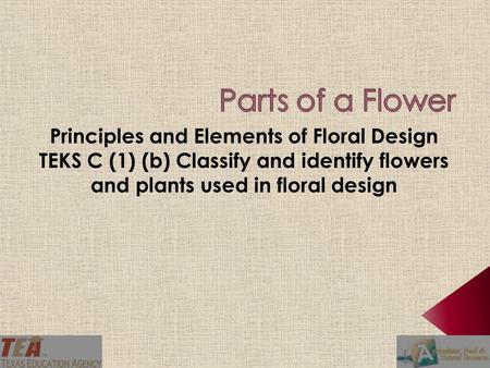 Principles and Elements of Floral Design