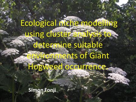 Ecological niche modelling using cluster analysis to determine suitable environments of Giant Hogweed occurrence. Simon Fonji.