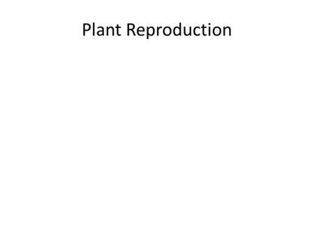 Plant Reproduction.