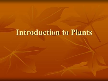 Introduction to Plants