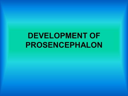 DEVELOPMENT OF PROSENCEPHALON