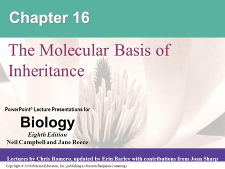 The Molecular Basis of Inheritance