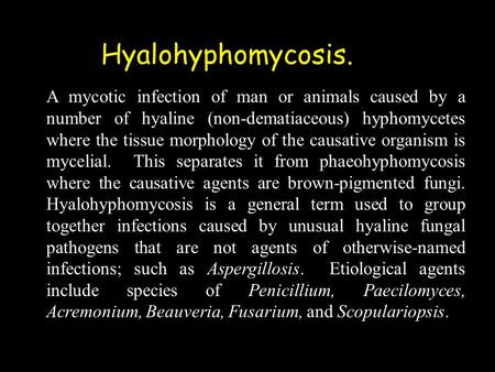 A mycotic infection of man or animals caused by a number of hyaline (non-dematiaceous) hyphomycetes where the tissue morphology of the causative organism.