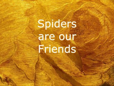 Spiders are our Friends How Do You Feel About Spiders? h Raise your hand if you like them. h Raise your hand if you don’t like them. h Raise your hand.