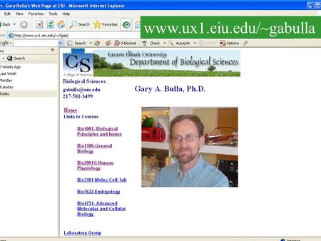 Www.ux1.eiu.edu/~gabulla. …and powerpoint files www.ux1.eiu.edu/~cfgab Lectures saved as Html files.. Click on “Chapter 1“