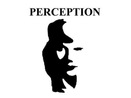 PERCEPTION. Cutting through the Clutter How many pages of the 750 are devoted to Editorial? Answer: Less than 100.