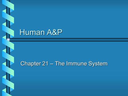 Human A&P Chapter 21 – The Immune System. Our Defense Systems b Our body has two means of defense against pathogens and toxins Innate or non-specific.