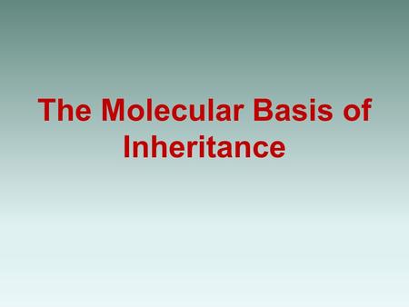 The Molecular Basis of Inheritance