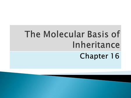 Chapter 16.  In 1953, James Watson and Francis Crick introduced a double-helical model for the structure of deoxyribonucleic acid, or DNA  Hereditary.