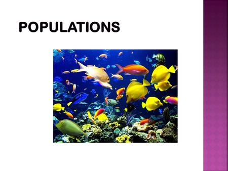 Populations.