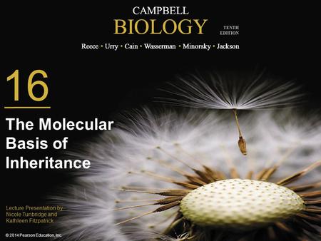 The Molecular Basis of Inheritance