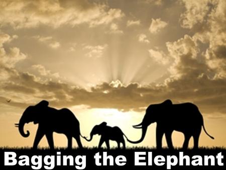 1 Bagging the Elephant. 2 The process of finding hard-working elephants (business leaders) and selling them on working with you.