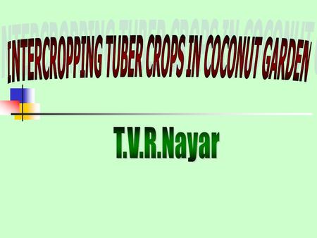 Tropical tubers recommended as intercrops  Cassava  Yams  Greater yam  Lesser yam  African white yam  Edible aroids  Elephant foot yam  Tannia.