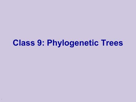 . Class 9: Phylogenetic Trees. The Tree of Life Evolution u Many theories of evolution u Basic idea: l speciation events lead to creation of different.