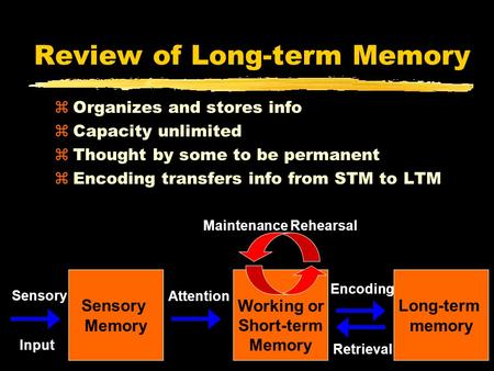 Review of Long-term Memory zOrganizes and stores info zCapacity unlimited zThought by some to be permanent zEncoding transfers info from STM to LTM Long-term.