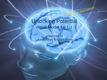 Unlocking Potential presented by Lauren Avery & Hilary Burns Visual Model for 1:1 What’s the alternative?