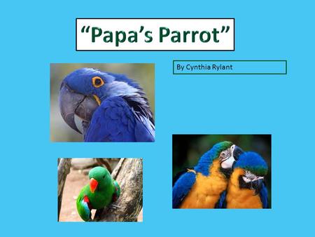 “Papa’s Parrot” By Cynthia Rylant.