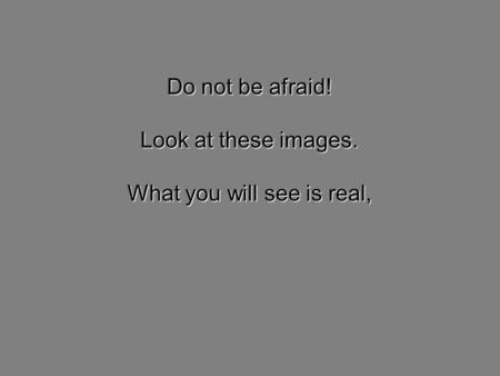 Do not be afraid! Look at these images. What you will see is real,