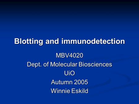 Blotting and immunodetection MBV4020 Dept. of Molecular Biosciences UiO Autumn 2005 Winnie Eskild.