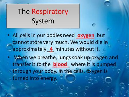 The Respiratory System