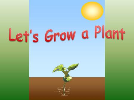 Let’s Grow a Plant.