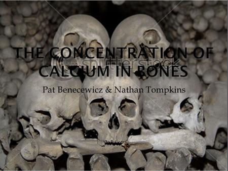 Pat Benecewicz & Nathan Tompkins. * Compare concentrations of calcium from species to species. *Species: Cow Pig Deer * The two methods will be a whole.