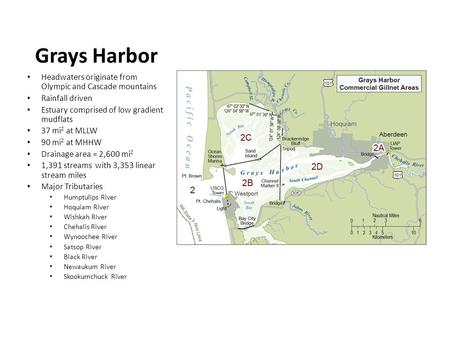 Grays Harbor Headwaters originate from Olympic and Cascade mountains Rainfall driven Estuary comprised of low gradient mudflats 37 mi 2 at MLLW 90 mi 2.