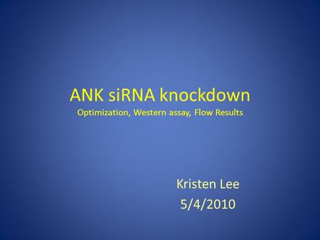 ANK siRNA knockdown Optimization, Western assay, Flow Results Kristen Lee 5/4/2010.