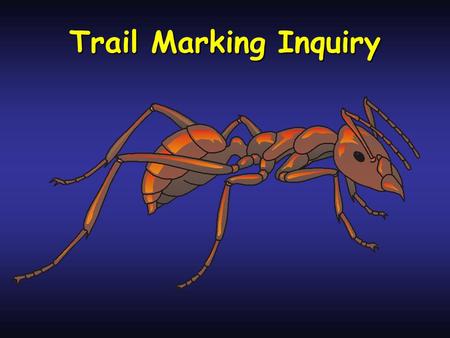 Trail Marking Inquiry. Trail marking inquiry Hypothesis 1: Wiping a sponge of soapy water across an ant trail will not disrupt theiruse of the trailHypothesis.